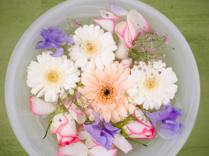 fiori san giovani