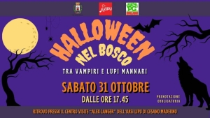 Halloween nel Bosco - Cesano Maderno