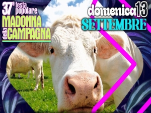 Festa Madonna della Campagna a Seregno: il programma per bambini