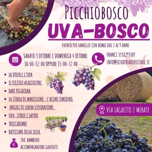 UvaBosco al Picchiobosco di Merate